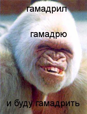 Фото из Владивостока