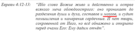 Орган, который не упоминается в Библии