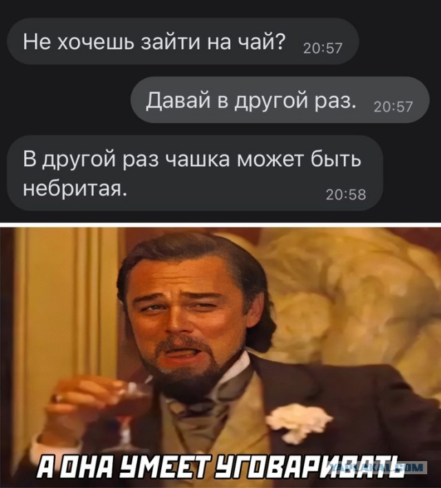 Весёлый полтишок 09.09.