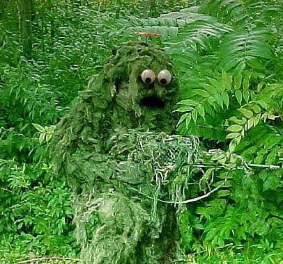 Короли перевоплощения: 16 шедевров военной маскировки