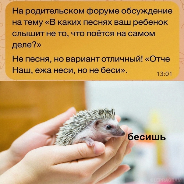 Картинки и мемы 08.10.2021