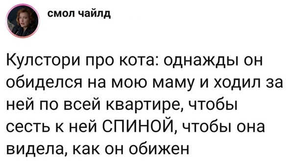 Всяческие картинки 08.11.2021