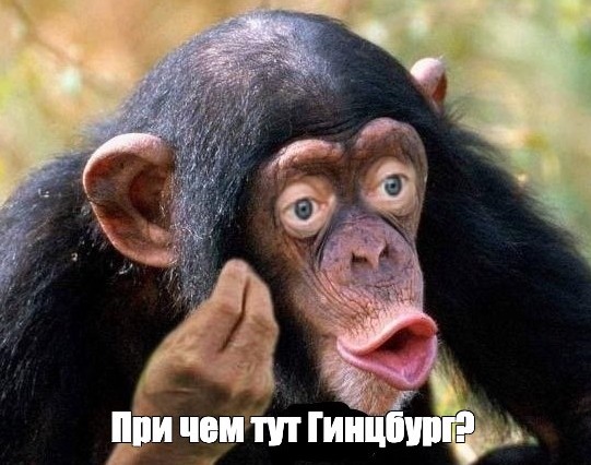 Наш Гинцбург поавторитетнее какого то сраного ланцета. Орденоносец! Это вам не хрен собачий!