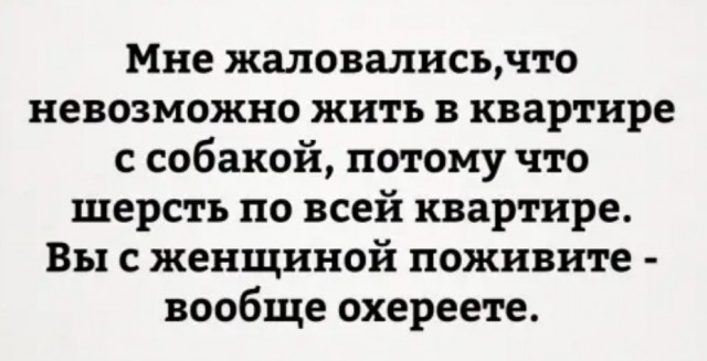 Так себе картинки 15.04.22