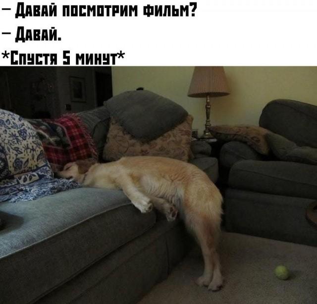 Юмор в картинках и без