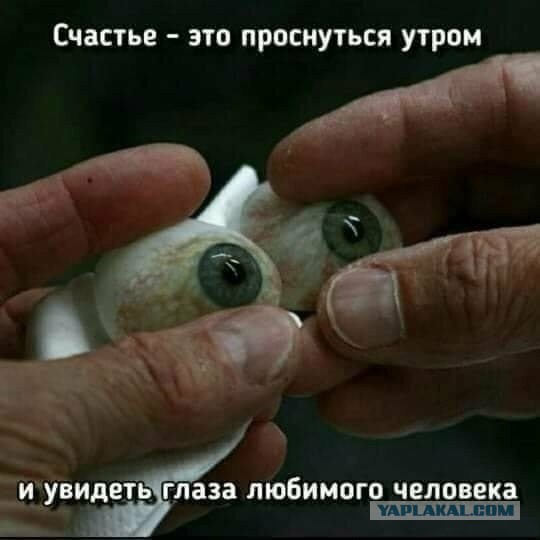 Юмор в картинках и без