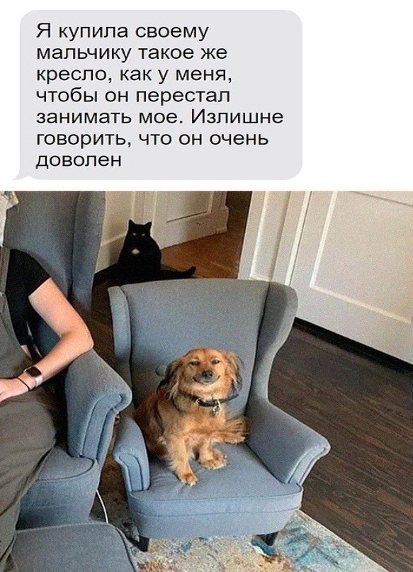 Картинки и мемы для настроения - 119