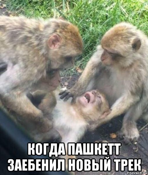 Друзья! я снова свободный художник! Ищу работу, послушайте мою новогоднюю песню!