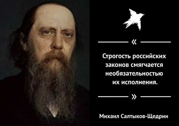 Твое и собачье дело: россиян накажут за самовыгул животных