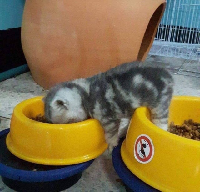 Добрые сказки