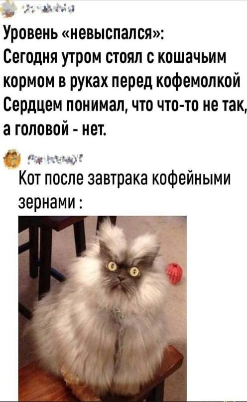 Школа джедаев. Начало