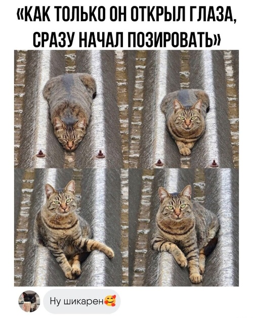 Так себе картинки 07.07.24