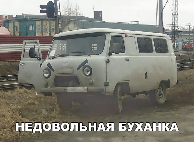 Прикольные и просто красивые картинки 01.11.2024