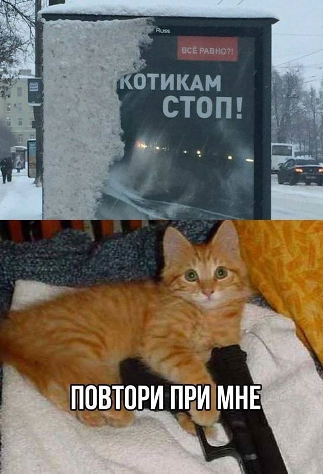 Веселые картинки в понедельник (23.12)