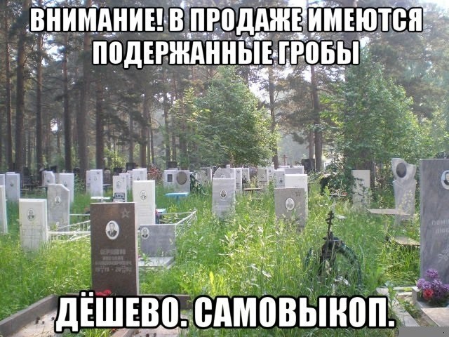 Соточка. Внеплановая. Дичь.