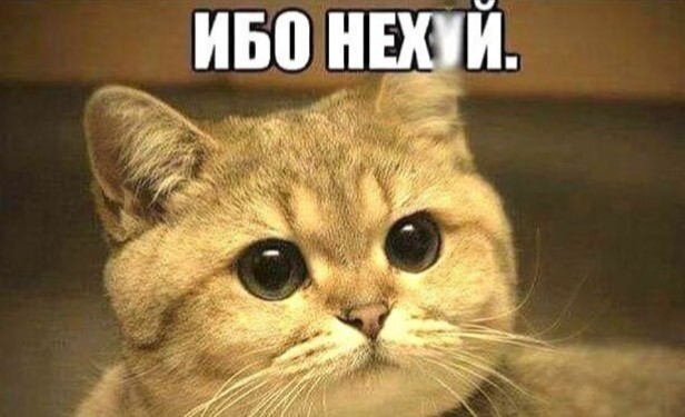 Отказ в близости провоцирует измену