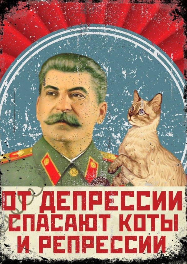 Картинки на пятницу 20.02.26