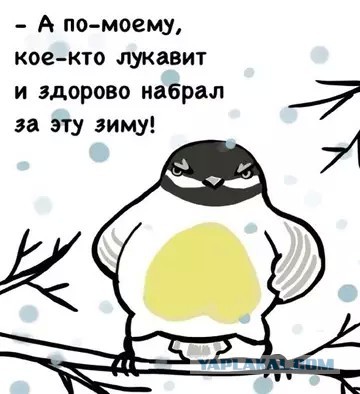 Про синичку и жирную жопу