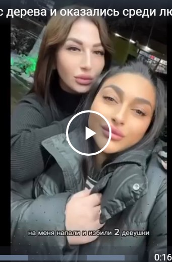 Слезли с дерева и оказались среди людей