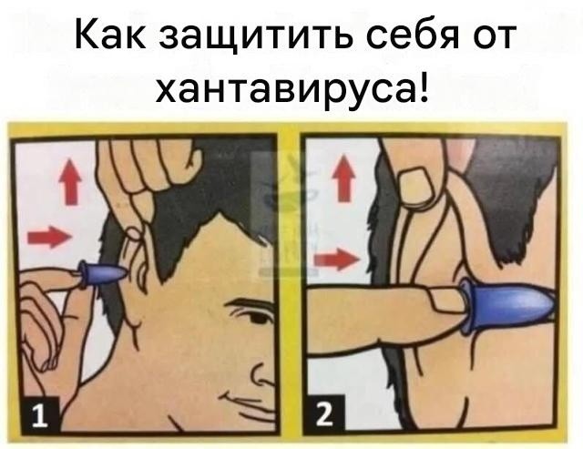 Картинки для деградации 202 (разной степени свежести)