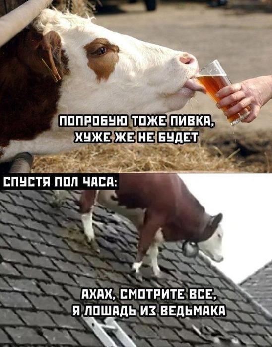 Картинки для деградации 205 (разной степени свежести)