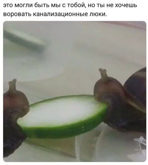 Картиночки, баянчики 23 мая