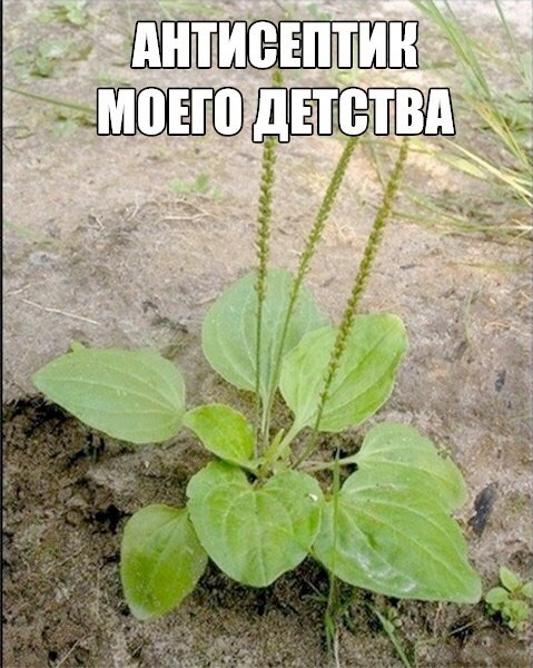 Веселое настроение в картинках 10.08.26