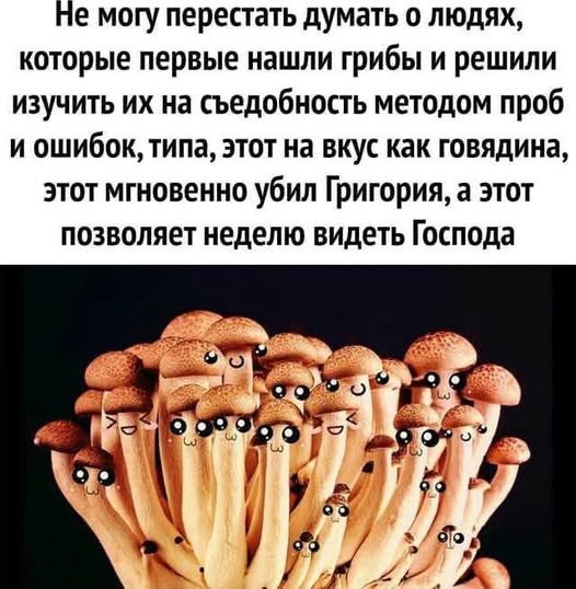 Чернушка на субботу