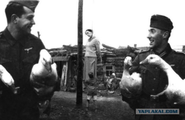 Русские не сдаются