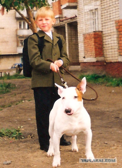 Собакочетверг на 02.01.2014