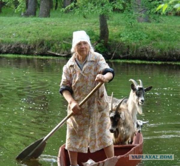 Мазайка в переходах.