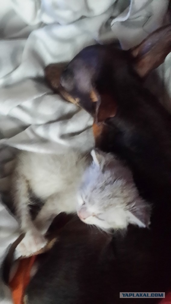 ЧУДЕСА случаются, теперь я знаю!