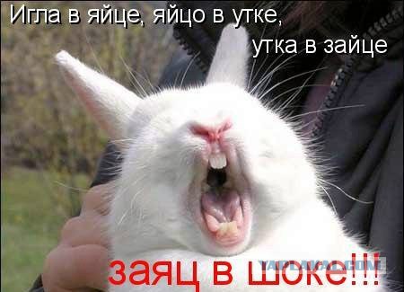 Хватит негатива на сегодня, пятница же!