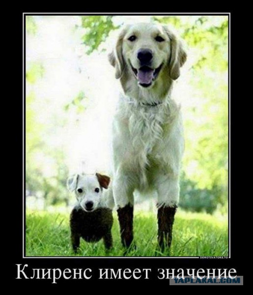Хороший клиренс