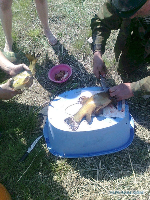 Рыбалка на Озернинском водохранилище