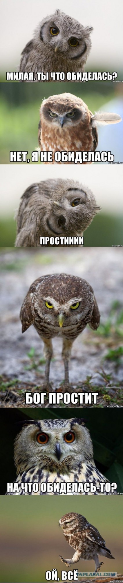 Подборка баянов.