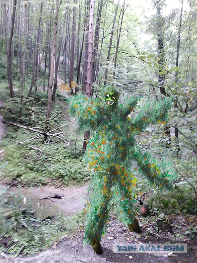 Быстрый оживляж.