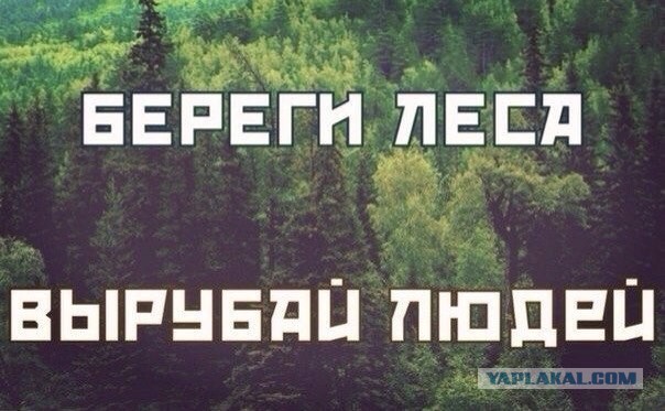 Картинки, текст и даже есть фигня