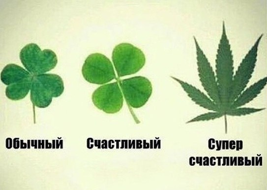 Подборка прикольных фото на пятницу