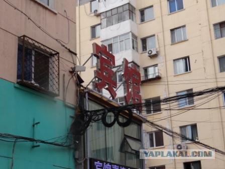 За что я люблю китайцев