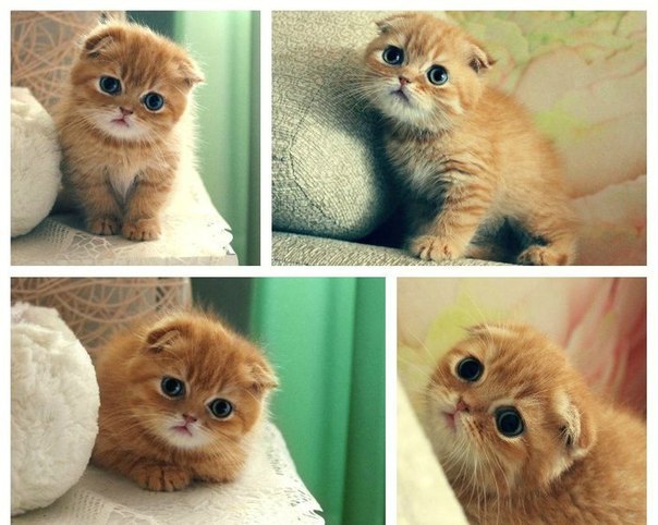 Разные картинки