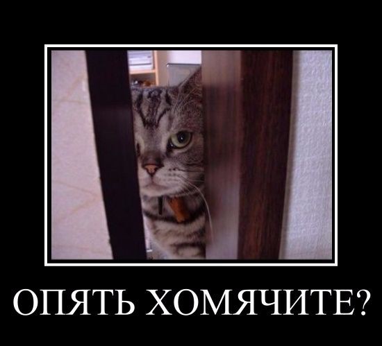 Супчик перед рабочей неделей.