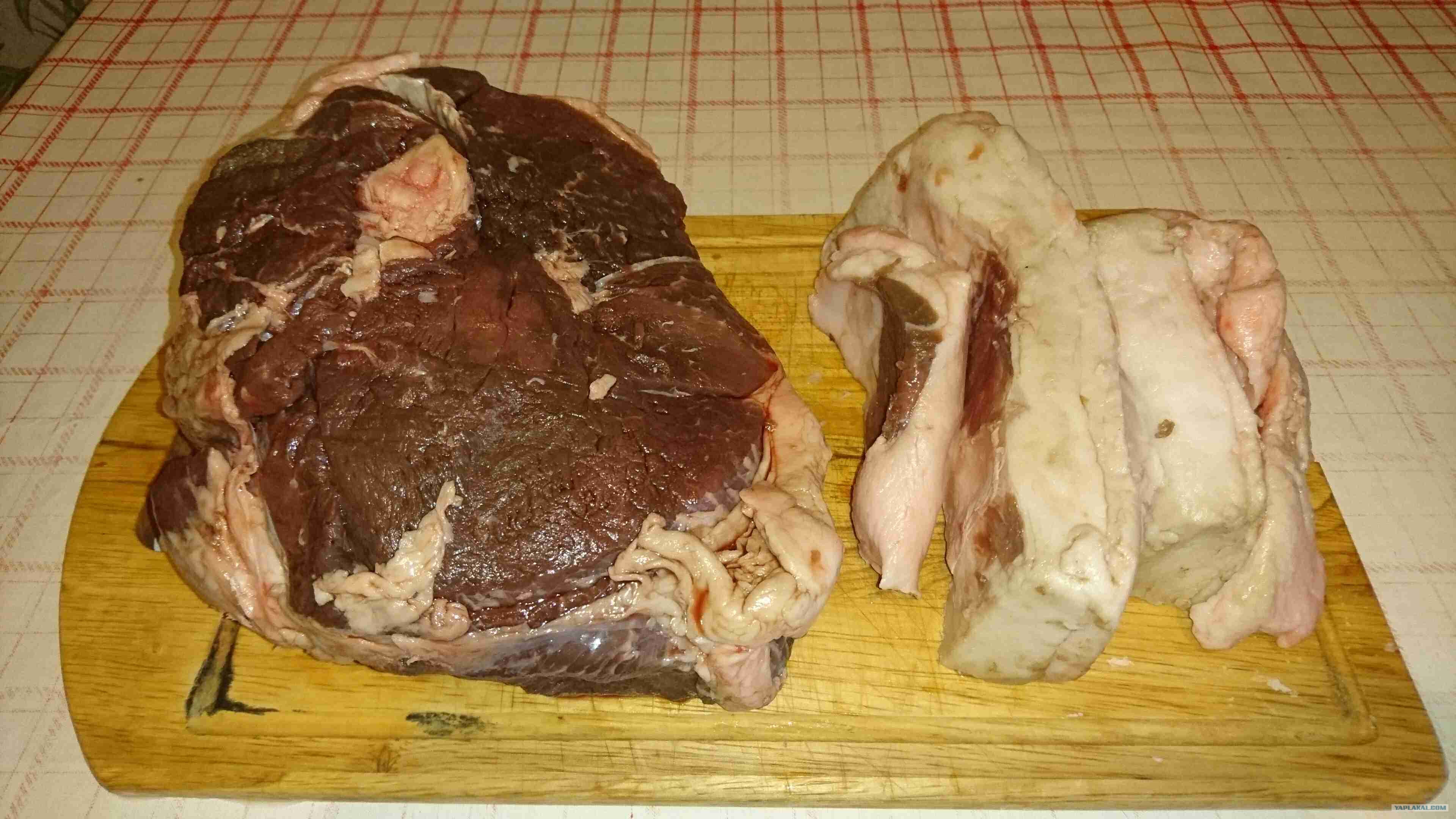 Мясо кабана рецепты с фото