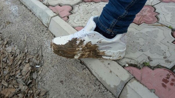 Подборка Картинок из сети