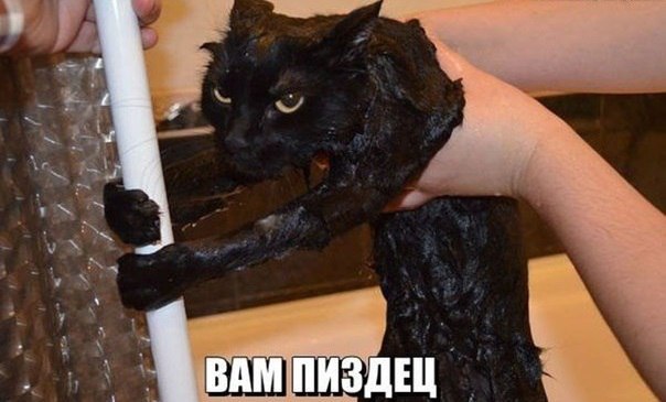 Подборка картинок из сети