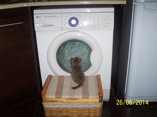 Те, которым мы помогли.