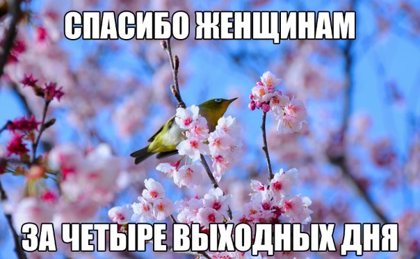 Картинки из сети, подборка на пятницу.