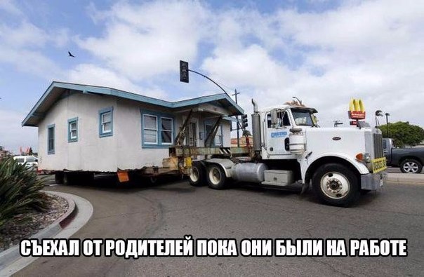 Подборка веселых картинок на выходные