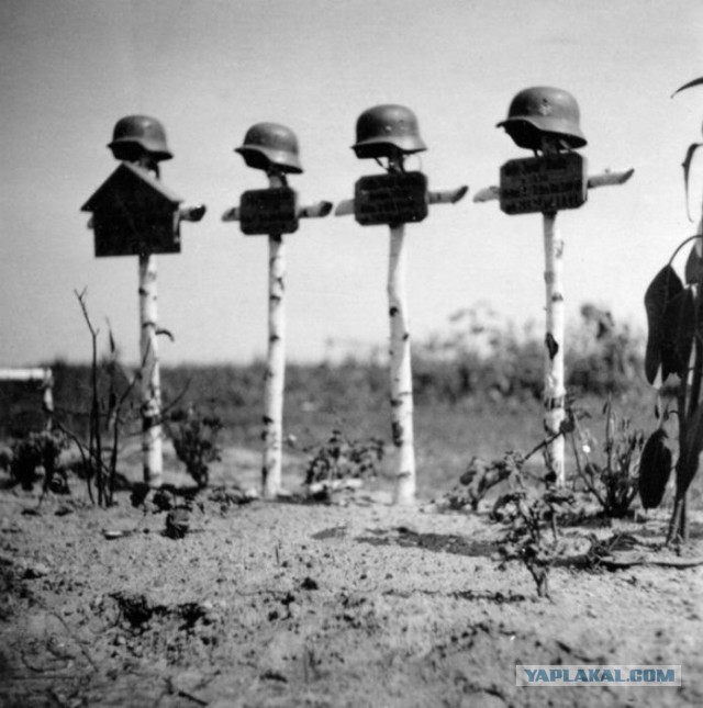 Фотографии военных лет