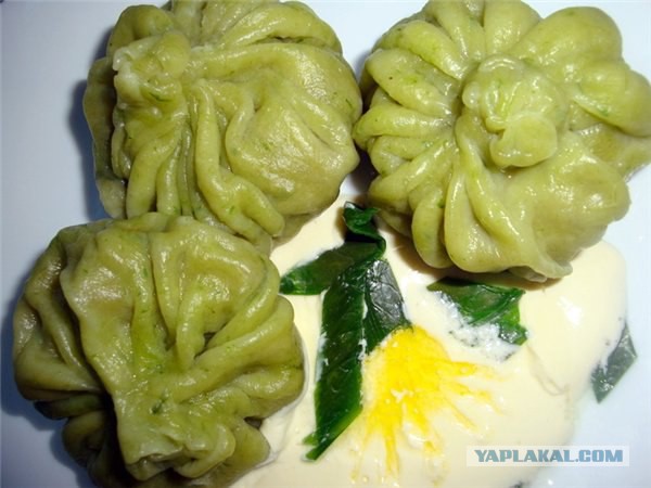 Юкка: уход и размножение